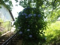 R0023321