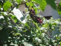 0201123d97def55f482e5dbd3226f895