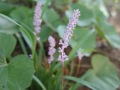 R0015959