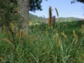 R0016796
