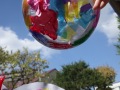R0016855