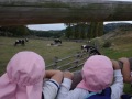 R0016952