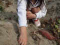 R0017364