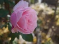 56e4fa82a6335db1bb89ad214303283b