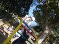 R0019245