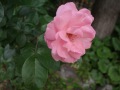 56e4fa82a6335db1bb89ad214303283b