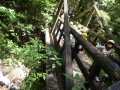 R0020962