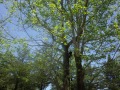 R0023684
