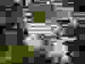 R0021010