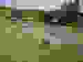 R0021018