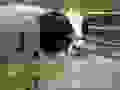 R0021029