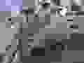 R0021037