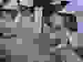 R0021040