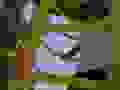 R0021053