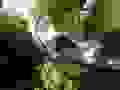 R0021069