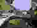 R0021081