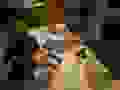R0021450
