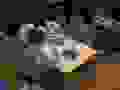 R0021452