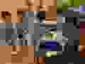 R0021469