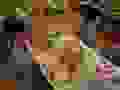 R0021473