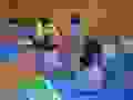 R0021492