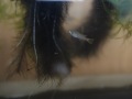 R0021602