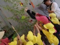 R0022273