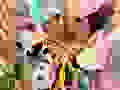 S__27492489