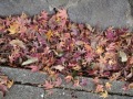 R0002108