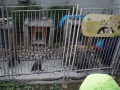 R0002132