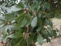R0004606