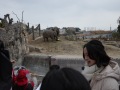 R0005099