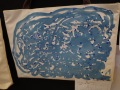R0005244