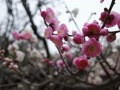 R0005915