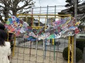 IMG_3765