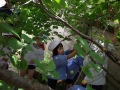 R0006656