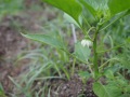 R0006735