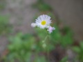 z3
