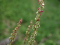 R0007102
