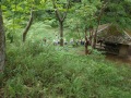 R0007111