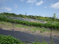 R0007184
