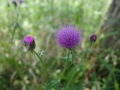 R0007187