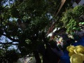 R0007716