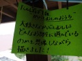 R0007841