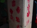 R0008372
