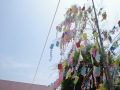 R0008496