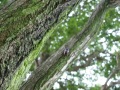 R0009032