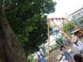 R0009033