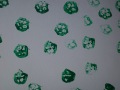 R0009044