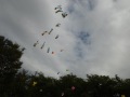 R0009590